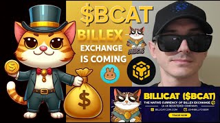 Bcat - Billicat Token Crypto Coin How To Buy Bcat Billex Exchange Pancakeswap Dex Bnb Bsc Chain Cat