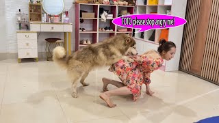 Awwkwan Dont Know Why Toto Get Angry Again But Kwan Try To Comforting Toto,What Will Happen?