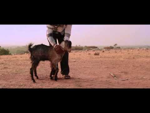KALYUG - English Trailer ZeLIG School for Documentary