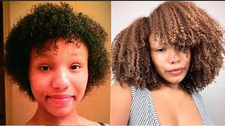 My Natural Hair Journey From The Beginning Color Damage Heat Damage Transitioning My Natural Hair Journey From The Beginning Color Damage Heat Damage Transitioning