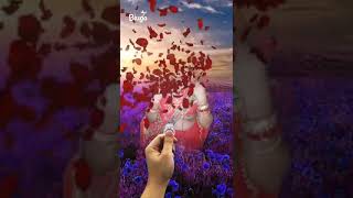 Hot Songs Simran