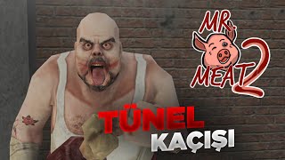 TÜNEL YOLUYLA HAPİSHANEDEN KAÇTIM! | Mr. Meat 2 (Tunnel Escape)