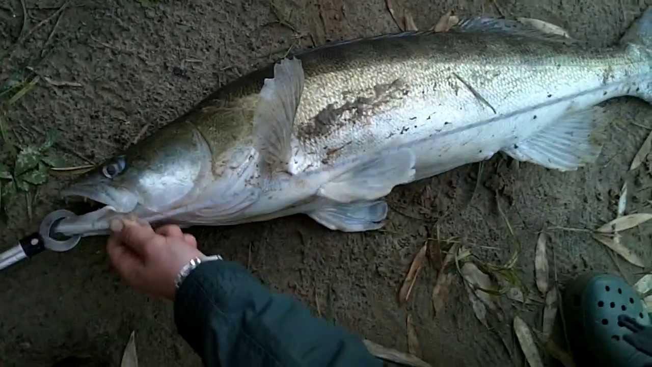 Les tentes dhiver pour la pêche le stack 4