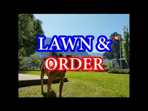 lawn and order