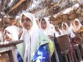 Yemen - Socotra / WISHES