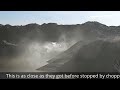 Видео Finally 100% Real UFO FBI Proof - Alive Aliens UFO Crash Filmed By Cops - Extraterrestrials Are Here
