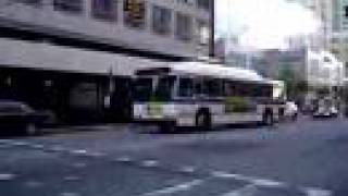 Mta New York City Bus 1995 Orion V Cng 599 On The B67 Jay Street