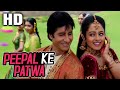 Peepal Ke Patwa| Sonu Nigam, Jaspinder Narula| Sooryavansham 1999 Songs| Amitabh Bachchan, Soundarya