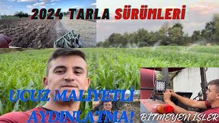 Harman Sonu Sürümlere Başladikpulluk Kirildiucuz Mali̇yetli̇ Aydinlatma Yapimi