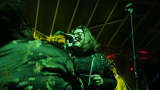 Beanstalk Music & Arts Festival - 2017 Recap