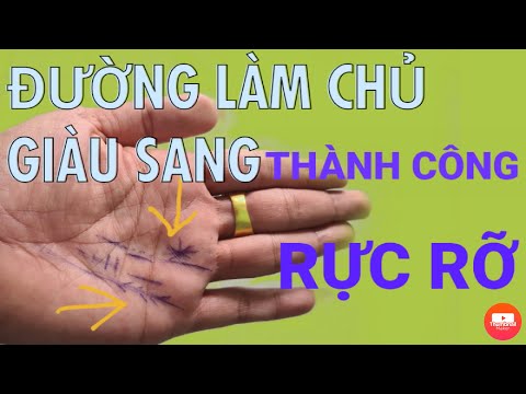 TỬ VI XEM CHỈ TAY Chỉ Tay Đường LÀM CHỦ GIÀU SANG THÀNH CÔNG RỰC RỠ chỉ tay phá sản