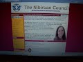 4-11-2011 Nibiruan Council Page, Huge Spike In Meteor Sightings Over Last 2 Days, Webbot
