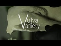 I Show Flag - Vulva Variety - Black Edition