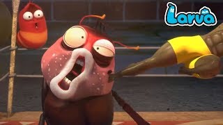 Larva Cartoon Full Movie 2018 | Showdown - Dance Battle | Larva Terbaru Season 3