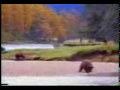 funny video by ors.MP4