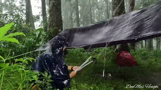 Ormanda Şiddetli Yağmurlu Havada Tek Başıma Kamp