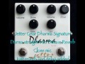 Jetter Gear Dharma Signature pedal