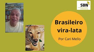 O Jeito Brasileiro de ser Vira-lata