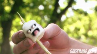 Marshmallowmurder.mov