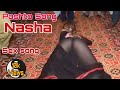 Pashto New Songs 2022 | Nasha Song | Sex Song | Pashto Song | Shah Bacha Official