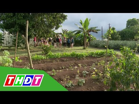 Du lịch nông nghiệp nở rộ ở Costa Rica | THDT