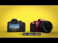 Nikon D3200 Chapter 1