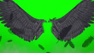 Футажи для видеомонтажа Крылья Wings Green Screen