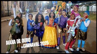 Desfile Escola Mirim Aguia De Ouro Carnaval Pelotas 2025