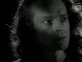 Stranger In Town Video preview