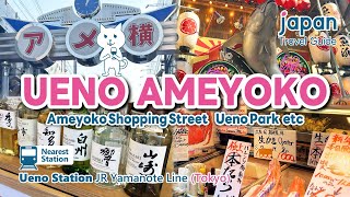 Ueno Ameyokotokyoameyoko Shopping Street, Eat Around, Japanesefood, Ueno Park.japan Travel Guide