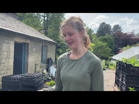 The English Nursery Garden Year...Week 25