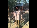 Jangli