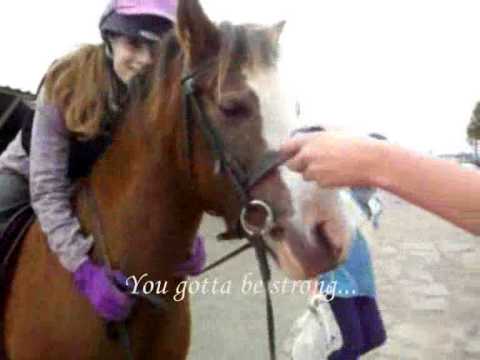 Ponyqueen13...Theres always gonna be another mountain...