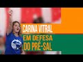 CARINA VITRAL (UNE) - EM DEFESA DO PRE-SAL E DA PETROBRAS CARINA VITRAL (UNE) - EM DEFESA DO PRE-SAL E DA PETROBRAS
