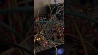 Tyme Sefari Mk2 Improv