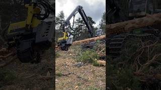 Harvester Johndeere 1270G #Love #Machine #Wood #Johndeere #Viral #Tree #Harvester #Montains #Bosque