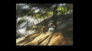 Watch Wastefall Stunned To The World video