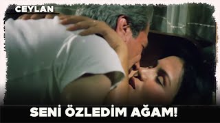 Ceylan Türk Filmi | Hizmetçi, Ağayı Baştan Çıkartıyor!