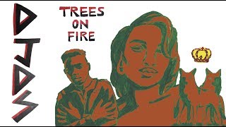 Watch Djds Trees On Fire video