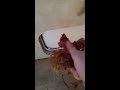 RV Travel Trailer floor repair, Part 2