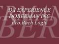 DI EXPERIENCE / DOBERMAN INC Pro.Bach Logic (J-HIPHOP)