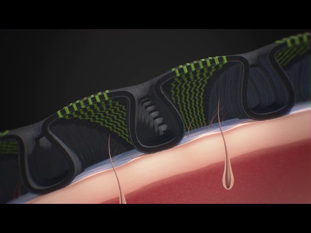 Film wizerunkowy X-Bionic/X-Socks
