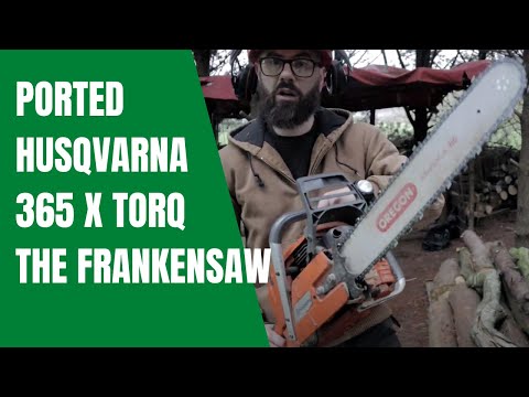 Ported Husqvarna 365 x torq