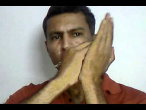 Sholay theme - on harmonica