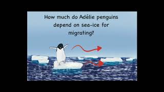 What do penguins do in the winter? A Ross Sea, Antarctica story