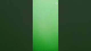 Bigo Vedio