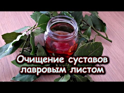 Виноградные листья для суставов Виноградные листья для суставов