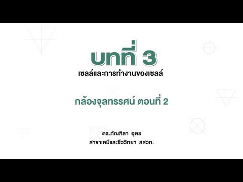 กล้องจุลทรรศน์ ตอน 2 (ชีววิทยา ม.4 เล่ม 1 บทที่ 3)