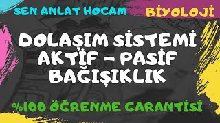Dolaşim Si̇stemi̇ Konu Anlatimi 17 Akti̇f- Pasi̇f Bağişiklik Ayt Bi̇yoloji̇