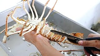 Vietnamese Street Food - LIVE LOBSTER Fried in Tamarind Sauce Vietnam Vietnamese Street Food - LIVE LOBSTER Fried in Tamarind Sauce Vietnam